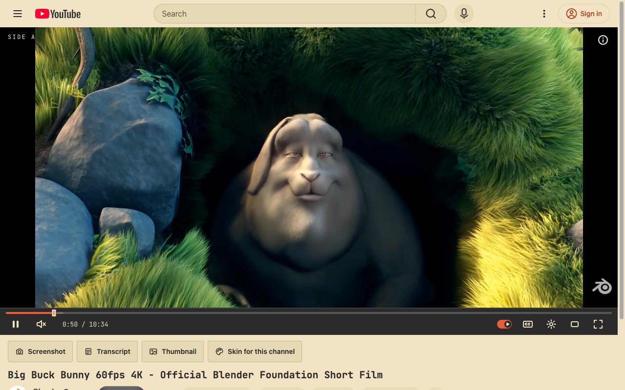 Cassette YouTube skin, theater