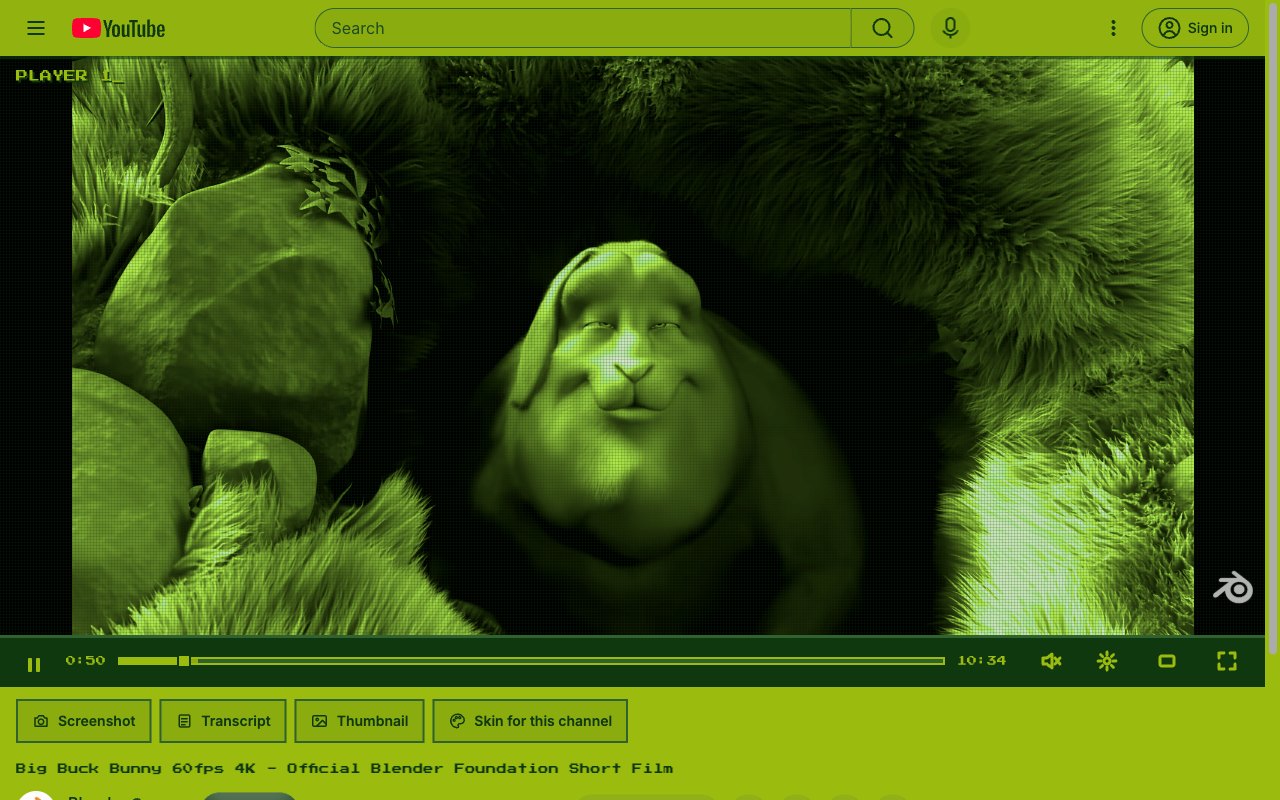 Handheld YouTube skin, theater