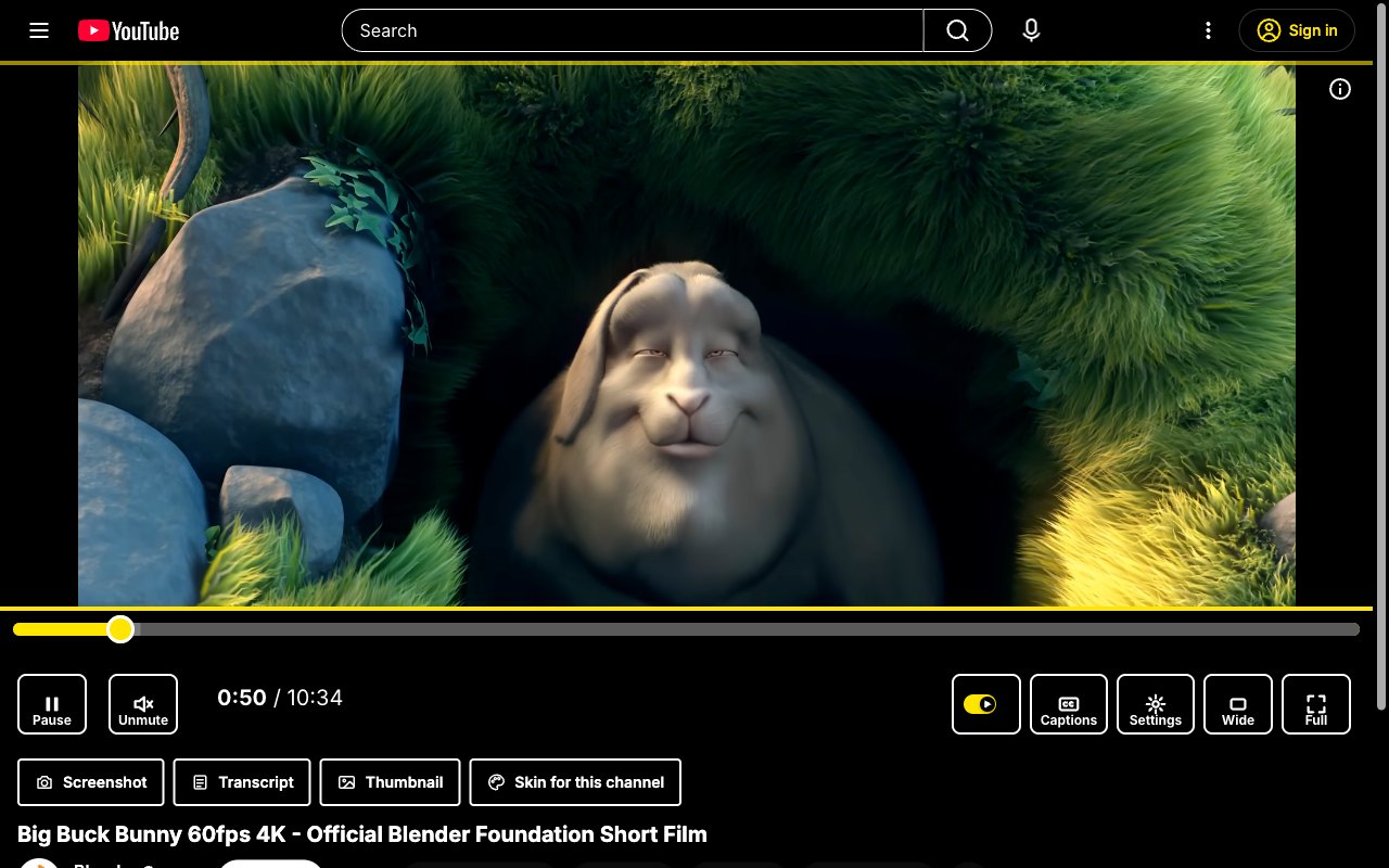 High Contrast YouTube skin, theater