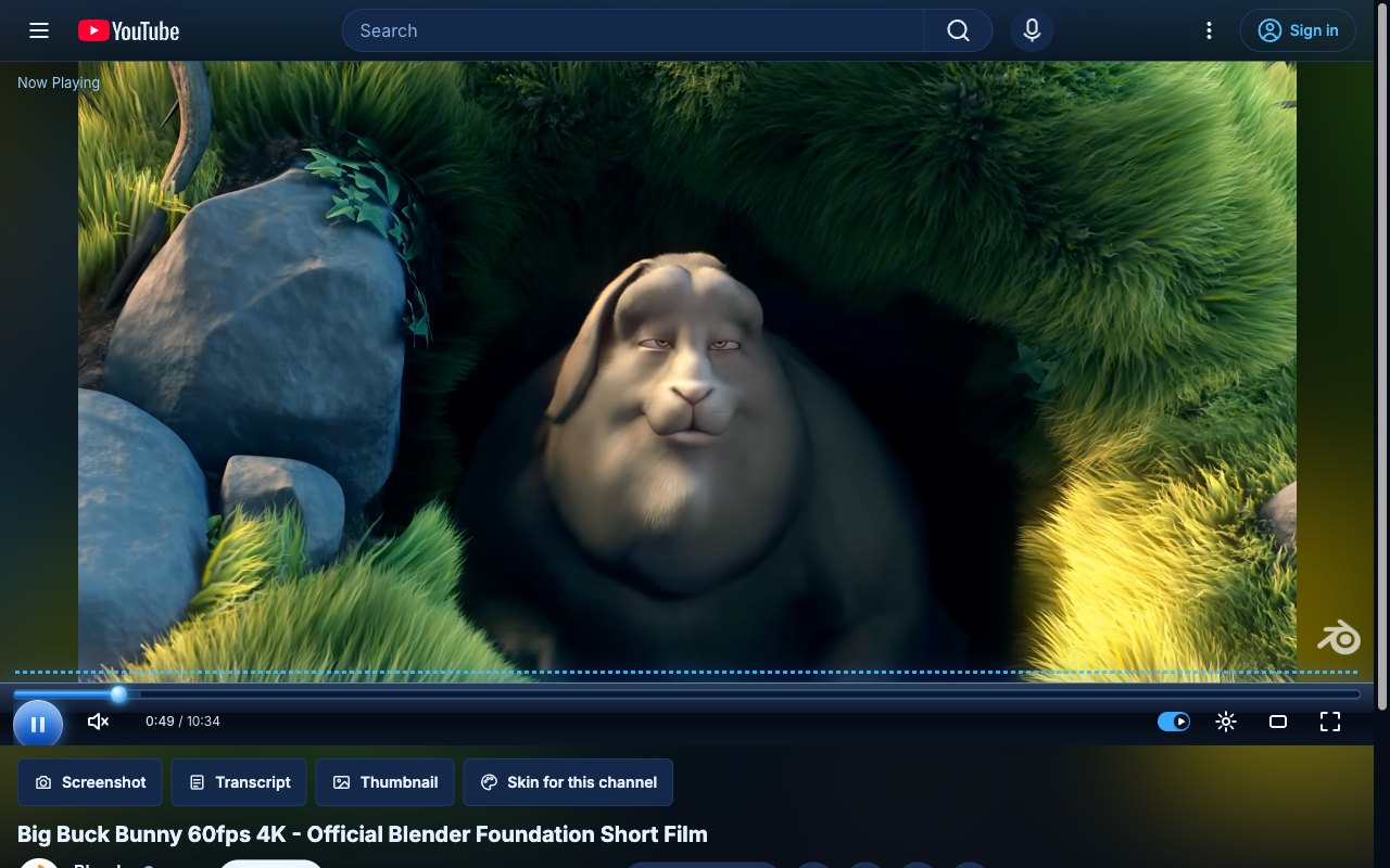 Media Player YouTube skin, theater