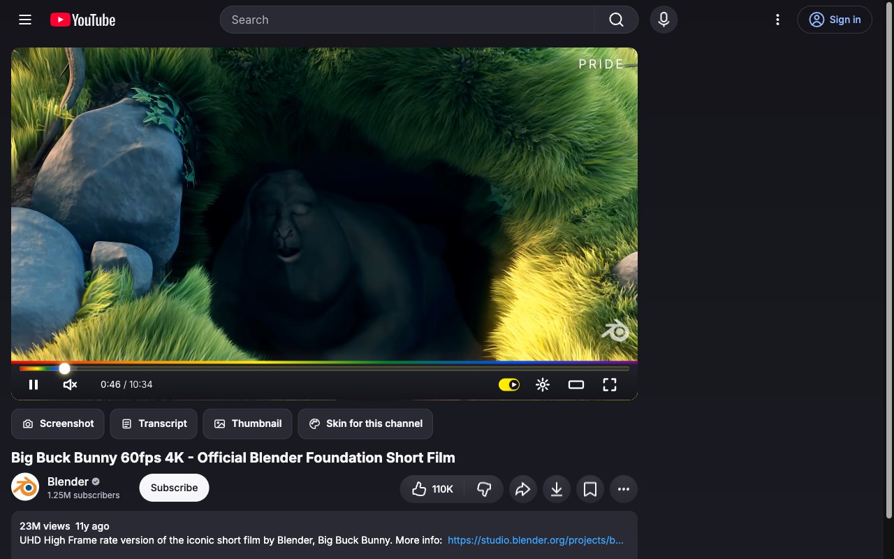 Pride YouTube skin, watch page