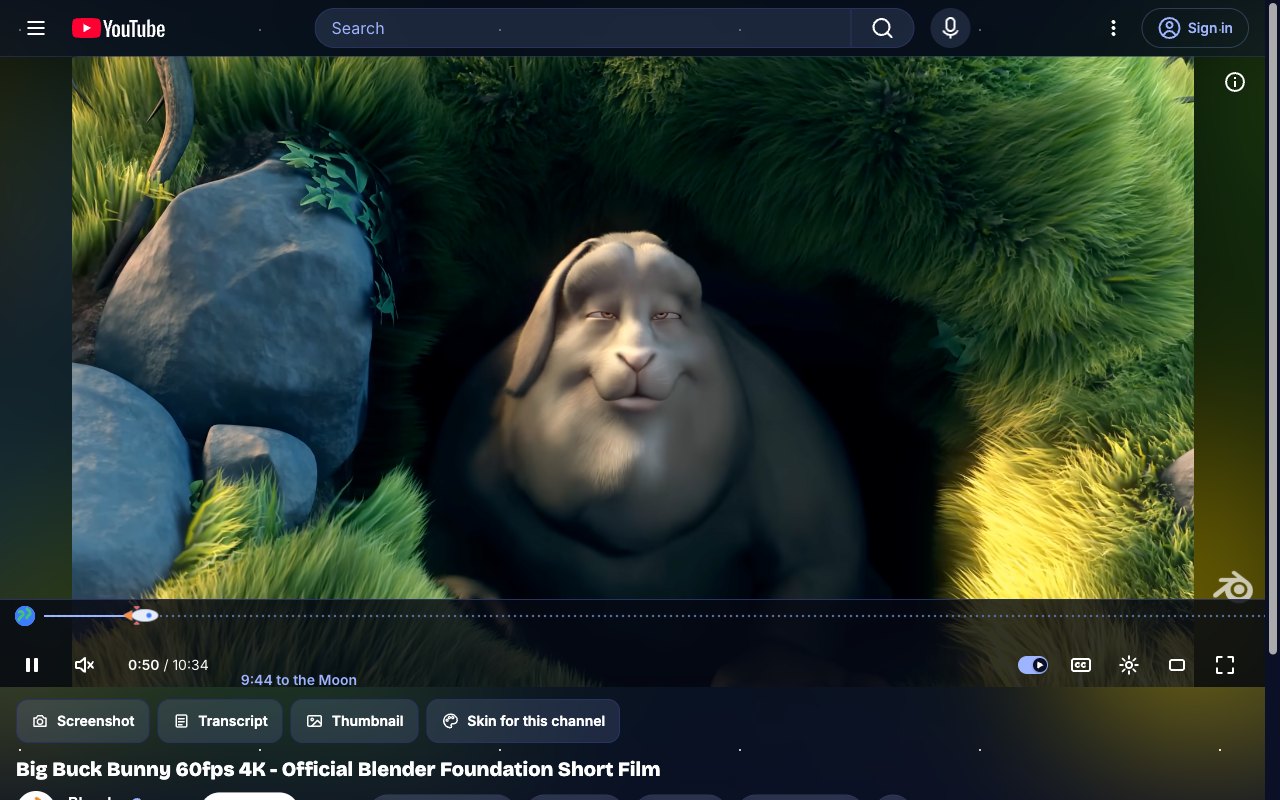 Space Run YouTube skin, theater