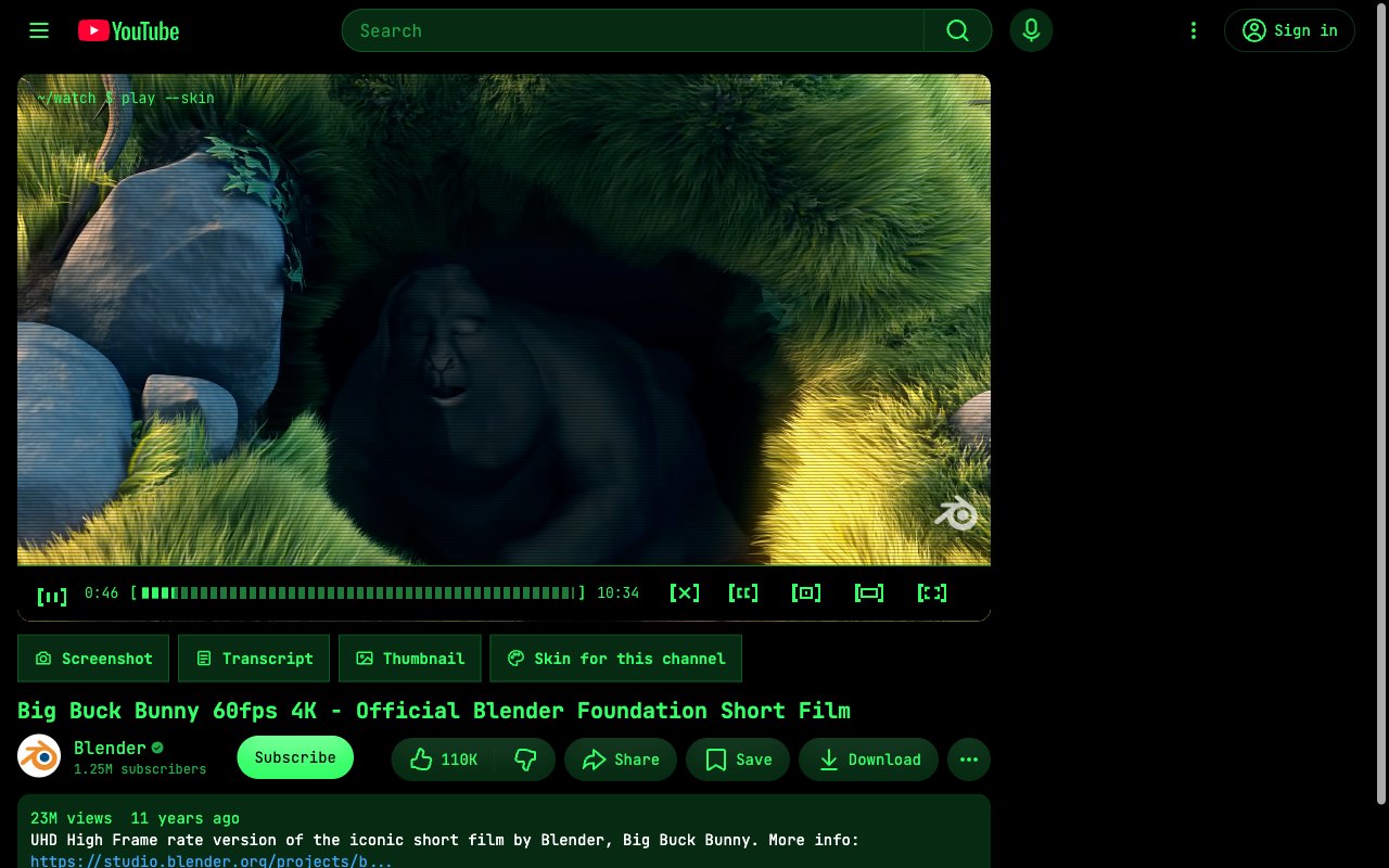 Terminal YouTube skin, watch page